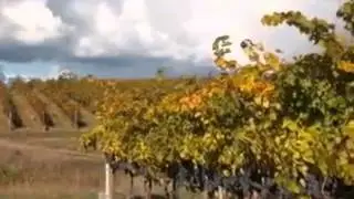21Acres - Wine Country Fairplay, CA