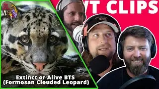 Extinct or Alive Behind The Scenes - Formosan Clouded Leopard