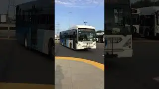 #shorts YRT 509 backing up into YRT/GO Transit Finch Bus Terminal