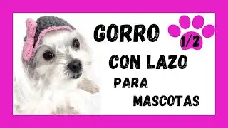 🎩 Gorro de lana para perro PASO A PASO 2023 Gorro de invierno a crochet para gato con lazo 😻😻😻