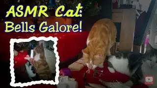 ASMR Cat: Christmas Tree & Bells Galore (no talking) (jingles, purring, playing)