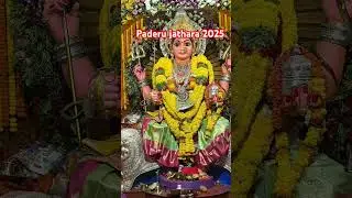 Srinidhi kondamma festival 2025 #paderufestival #paderu #ytshorts