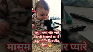 “बच्चे को पंजा पड़ा तो माँ बिल्ली ने अपने ही बच्चे को सबक सिखा दिया 😂🐱”