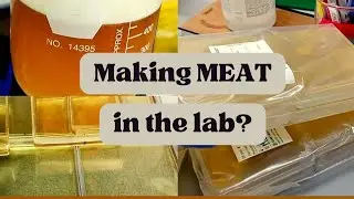E01: Making Malt Extract Agar + Tetracycline | VLOG &lrm;@sciencetingss&nbsp; #howtomake #MaltExtractAgar