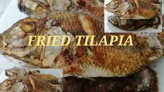FRIED TILAPIA