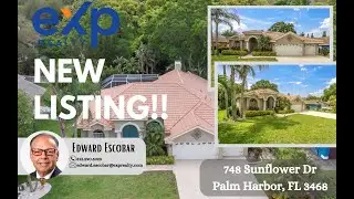 748 Sunflower Dr, Palm Harbor, FL 34683