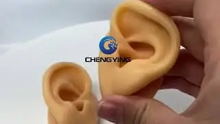 Application of human silicone ear model