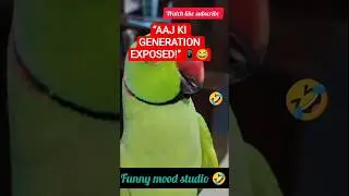🦜💬 Aaj Ka Sabse Sach Bolta Parrot! End Tak Suno 😂 funny mood studio 🤣
