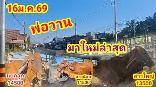พ่อวาน 064-198-9226 บ.หนองแสง อ.ปทุมราชวงศา จ.อำนาจเจริญ/16ม.ค.69