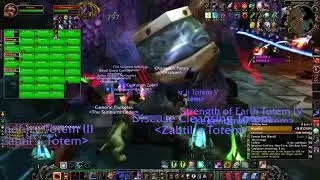 Chromaggus down