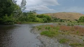 Hiden gems in Sacred Hill Vineyard near Dartmoor Bridge Reserve