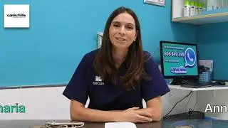 Inmunodeficiencia felina - Parte 2