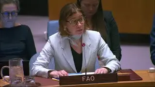 Gaza: près de 2,1 millions de personnes font face à un « risque critique de famine » | Nations Unies