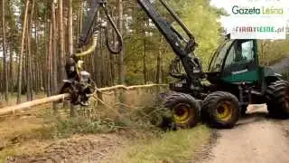 LeśniK-T z Koczały
