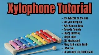 Xylophone Tutorial for Beginners 🎼 | 10 Easy Songs for Kids & New Learners