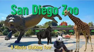 San Diego Zoo Walking Tour