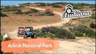 ARIKOK NATIONAL PARK | Arubiana UTV &&nbsp;Buggy rental in Aruba