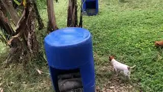 UN FINCA DE VARIOS PROPÓSITOS. RD 🇩🇴y la moda. Janor tuvo la culpa??
