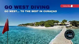 GO WEST Diving Cura&ccedil;ao at Playa Kalki in Westpunt: 5 Star PADI Dive Shop