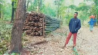 Bamboo cutting in forest||@RiteshRaahiVlogs