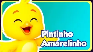 PINTINHO AMARELINHO - Música Infantil - OFICIAL