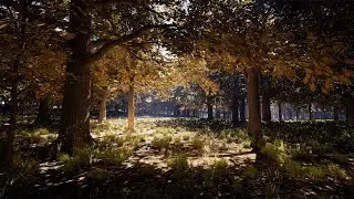 Oak Trees Pack 8k. Pivot Painter 2.0 Wind. UE 5.1