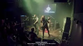 Cardiac Necropsy - Vent Box 2019@The Red Lantern, 8 Dec 2019