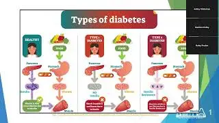 CHW Diabetes Learning Modules | IPhA Education Series