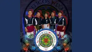 Fuiste Tu (feat. Los Amos's de la Sierra)