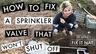 Как починить зону полива, которая не отключается, с помощью Fix It NAT.
