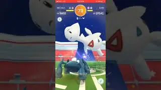 Togetic duo raid (no weather boost)
