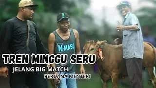 LATIHAN SERU JELANG BIG MATCH KARAPAN SAPI  PERDANA MENTERI DI LAPANGAN TEMPURAN
