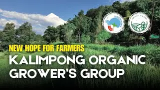 Kalimpong Grower's Group | Bithi Farm | Organic Certification | 2025