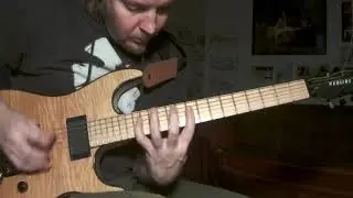 Allan Holdsworth 