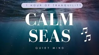 Sleep, Study, Focus - Relaxing Gentle Ocean Waves with Soft Music for 1 Hour