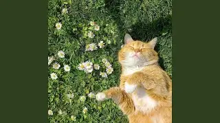 Happy Days
