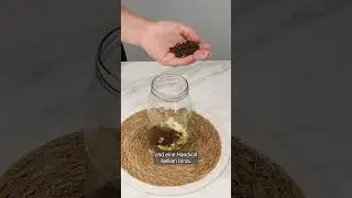 Ratten und M&auml;use verschwinden in nur einer Minute &ndash; Ohne sch&auml;dliche Fallen!