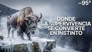 INVIERNO EXTREMO EN RUSIA | La Lucha por la Supervivencia a -95°C en el Frío Absoluto - Documental