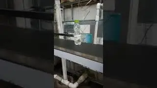 bottle batch coder linear conveyor,date coding machine