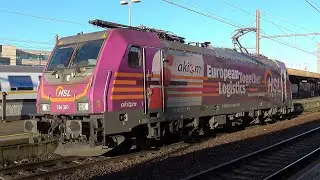 Trains at Antwerpen-Berchem Station (4K) 24-01-26