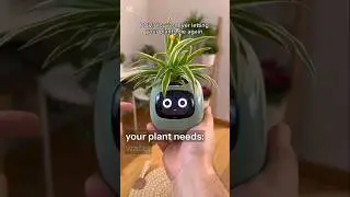 This Flower Pot Actually Shows Emotions 🌱😲