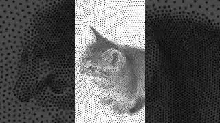 #reels #cats #trending #fyp #trending #viral #tech #instagram