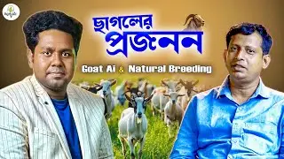 ছাগলের প্রজনন পদ্ধতি ও উৎপাদন বৃদ্ধি | Goat Breeding by Dr. Santanu Bera | Goat Farming Podcast
