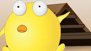 WiBit.Net - Introduction to Object Oriented Programming (2011 - FULL COURSE)