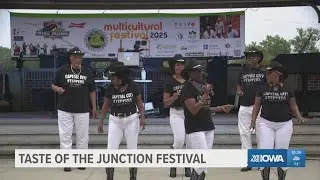 Dancing, music and more at the 'Taste of the Junction' multicultural festival