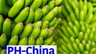 PH-China Banana Diplomacy