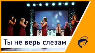 Singing Shrimps - Ты не верь слезам (Экзамен 30.05.22)