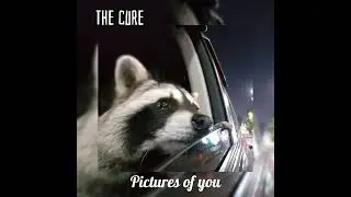 The cure - Pictures of you sped up
