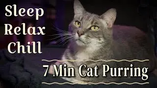 Chill, Relax, Doze to 7.5 minutes of Ashford T. Purrinton III, Esq., DDS. Comment if you want more.