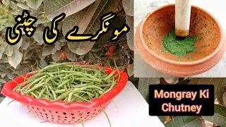 How to Make Mongray Ki Chutney | Moringa Pod Chutney Recipe by Arain Kitchen #trending #tips 